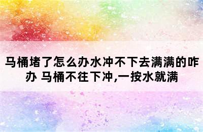 马桶堵了怎么办水冲不下去满满的咋办 马桶不往下冲,一按水就满